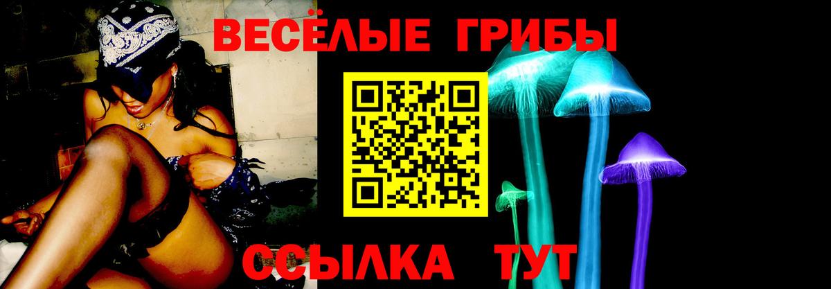 Светлоград  Галлюциногенные грибы ЛСД  Вход с VPN  Псилоцибиновые грибы прущие грибы 